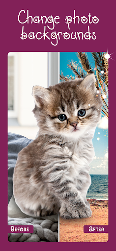 Android application Cat Photo Editor screenshort
