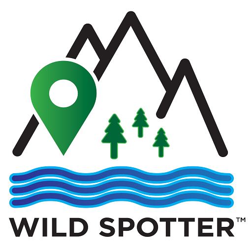 Wild Spotter  Icon