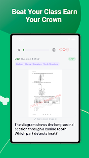 Zedlearn