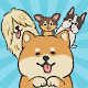 Cute dogs - collect as many dogs as possible-