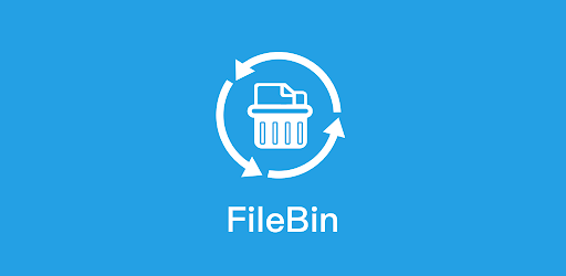 FileBin - Pic & Video Recovery for PC