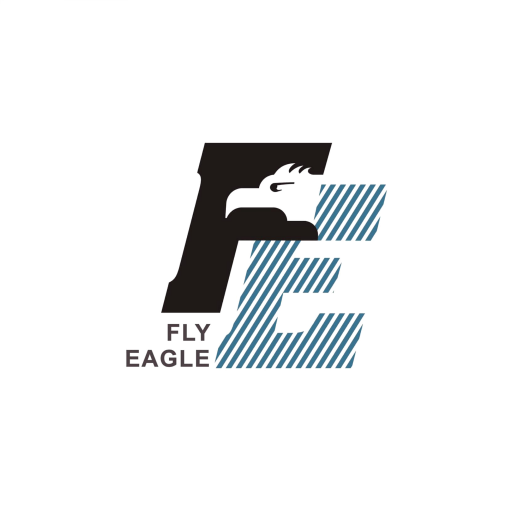 飛鷹到府洗車 logo