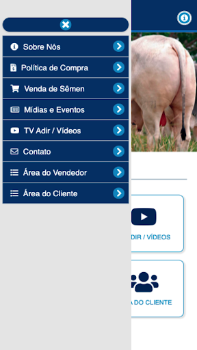 Grupo Adir Screen 2