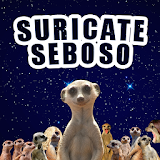 Suricate Seboso icon