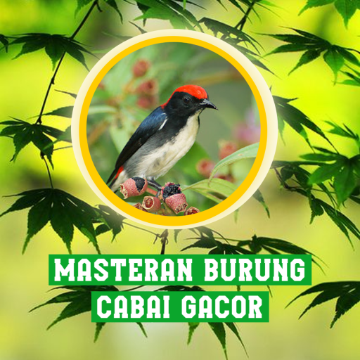 Masteran Burung Cabai Gacor logo