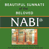 Beautiful Sunnah icon