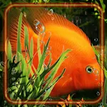 Cover Image of Download Fishes Aquarium World HD  APK