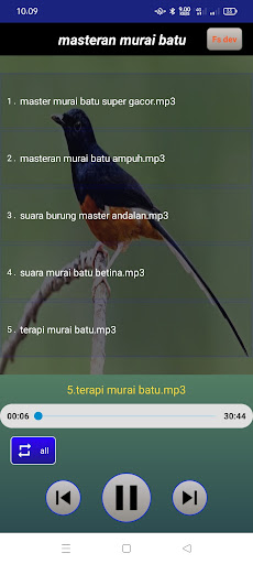 Masteran murai batu