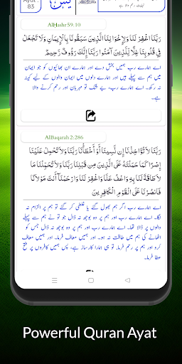 Surah Yaseen Arabic En Hi