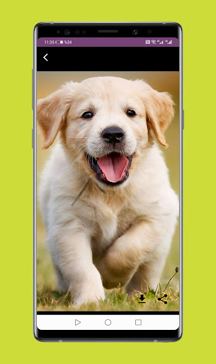 Samsung Galaxy A42 5G