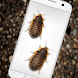 電話おかしい冗談の昆虫 - iBug - Androidアプリ
