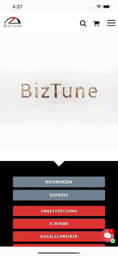 Biztune Screen 2