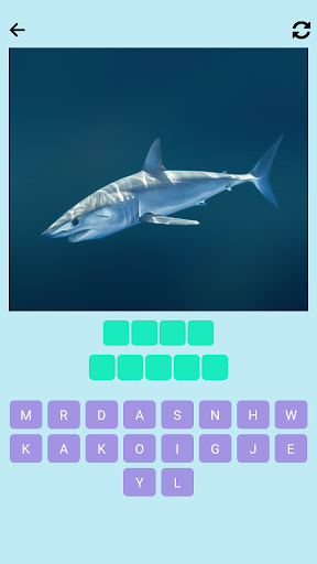 Guess the fish Screen 3
