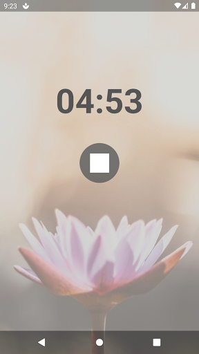 MindRise Screen 2