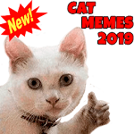 Cover Image of डाउनलोड 🐱New Cats Memes 2021(WAStickerApps) 1.0 APK