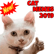 ?New Cats Memes 2020(WAStickerApps)