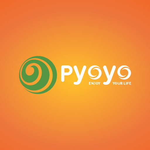 YOYO STORE logo