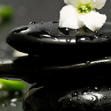 Spa Herbal Medicine Wallpapers icon