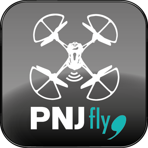 PNJ fly logo