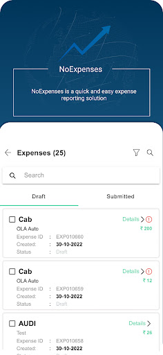 NoExpenses App Screen 3