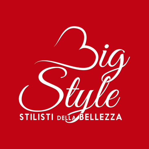 BIG STYLE logo
