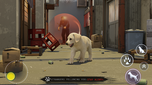 Android application Dog Life Simulator Animal Life screenshort