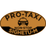 Sighet Pro Taxi icon