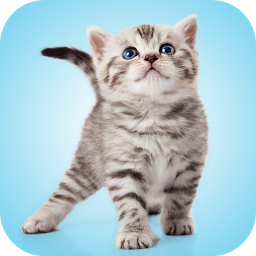 Icon image Kitten Sounds