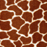 giraffe print wallpaper icon