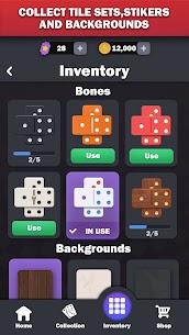 Dominoes online – play Domino! 5