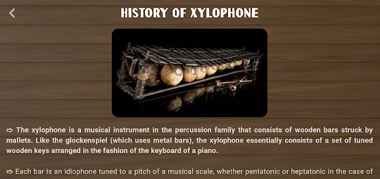 Xylophone Instrument