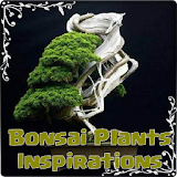 Bonsai Plants Inspirations icon
