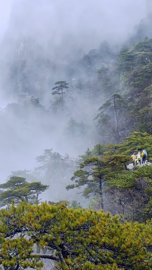 Android application mountain video wallpaper screenshot