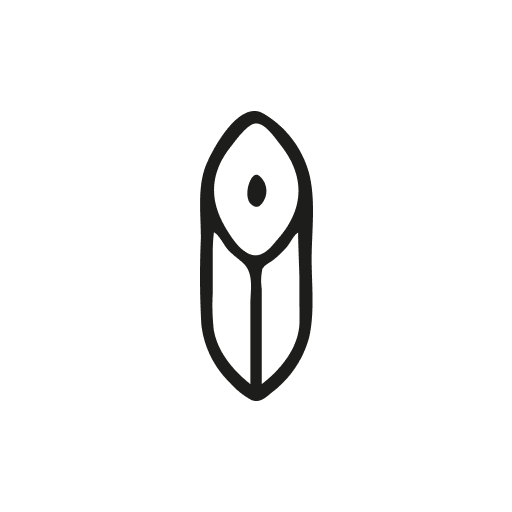 BohoSi logo