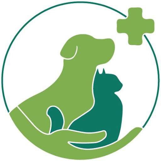 VetmemoDdx logo