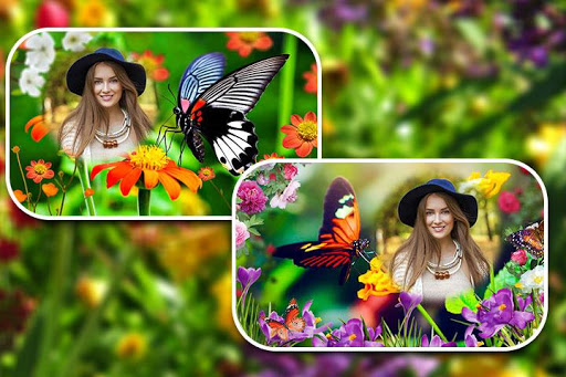Butterfly Photo Frames Screen 2