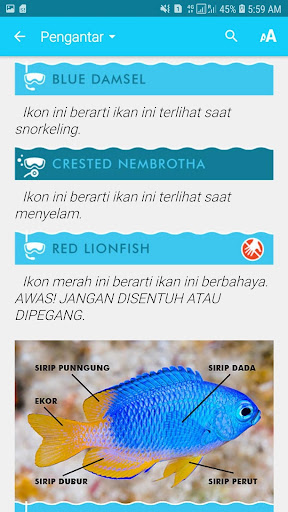 Biota Laut Luwuk-Banggai Screen 3