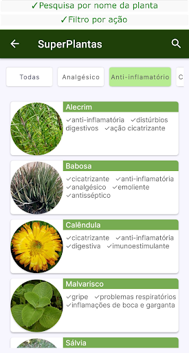 Super Plantas Medicinais Screen 2