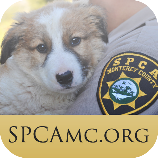 The SPCA  Icon