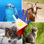 Cover Image of Baixar Tagalog Animals Quiz  APK