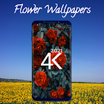 Cover Image of Unduh 4K Flowers Wallpaper 1.0.0 APK