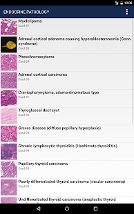 Anatomic Pathology Flashcards Captura de tela