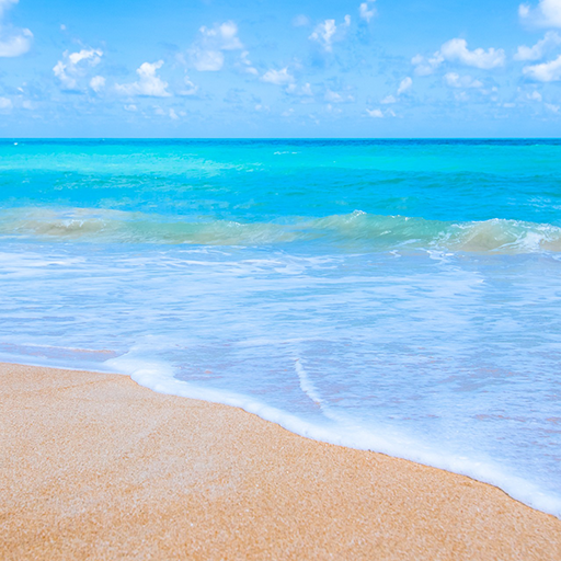 Summer Wallpaper & Beach HD  Icon