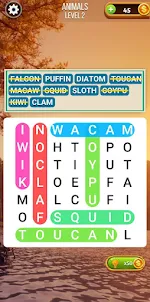 Word Search Hidden