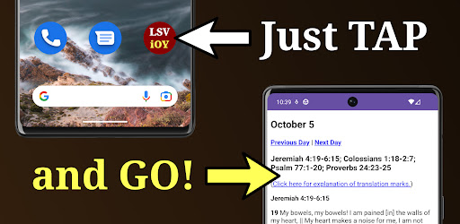 The LSV in One Year Screen 2