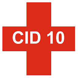Icon image CID 10 Pt
