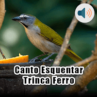 Canto Esquentar Trinca Ferro