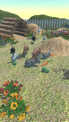 Rabbit Friends - caring games Mod FULL TÍNH NĂNG