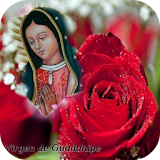 Virgen De Guadalupe Necklace Rose Gold icon