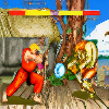 Street Champion Fighter 2 icon